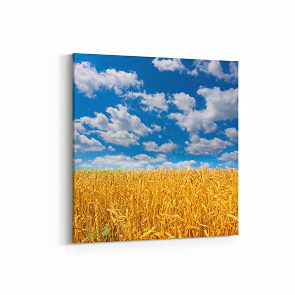 olla.market Kanvas Tablo