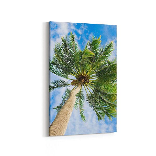 olla.market Kanvas Tablo