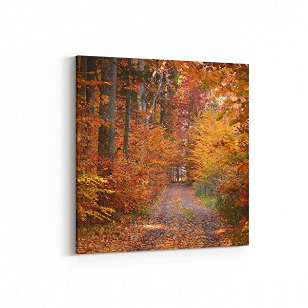 olla.market Kanvas Tablo