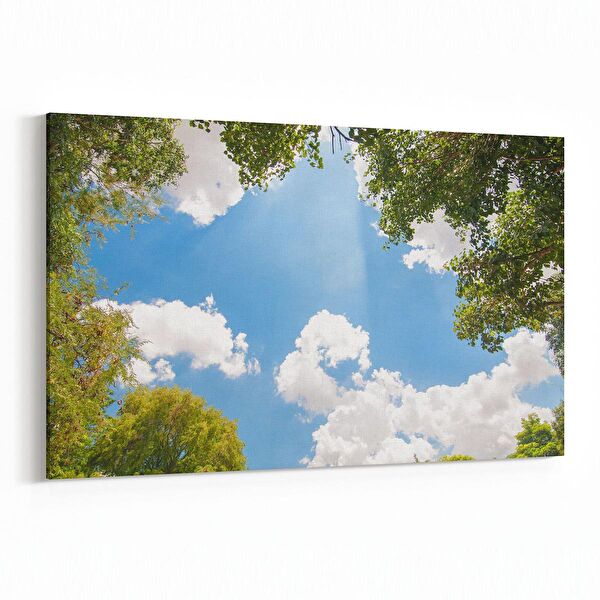 olla.market Kanvas Tablo