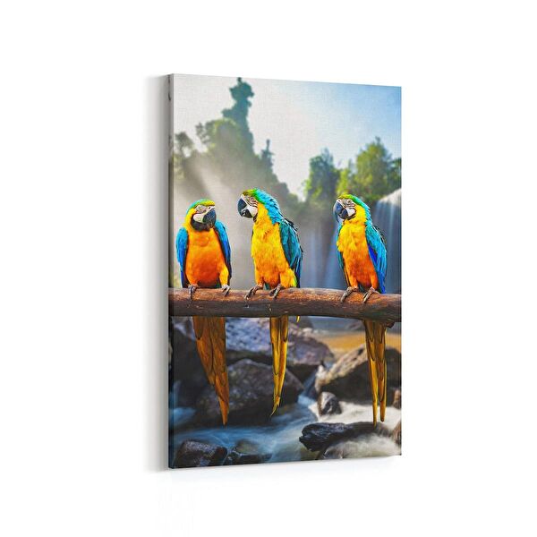 olla.market Kanvas Tablo