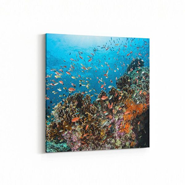 olla.market Kanvas Tablo