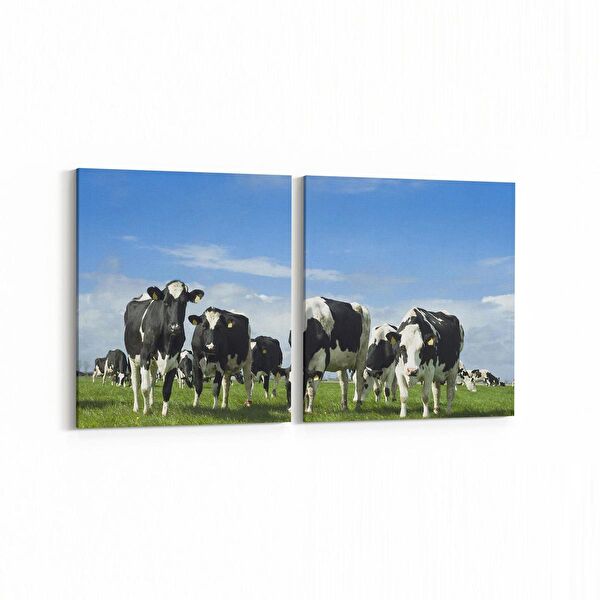 olla.market Kanvas Tablo