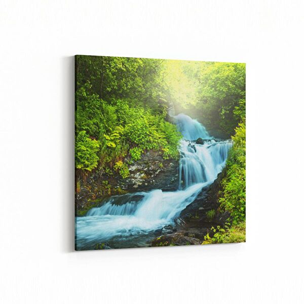 olla.market Kanvas Tablo