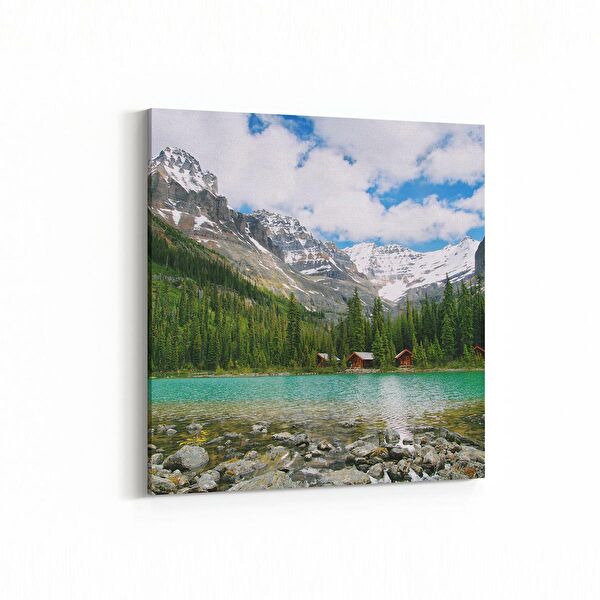 olla.market Kanvas Tablo