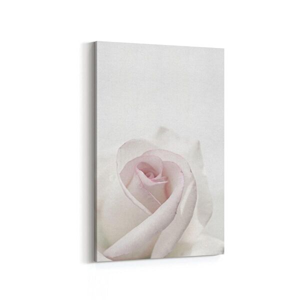 olla.market Kanvas Tablo