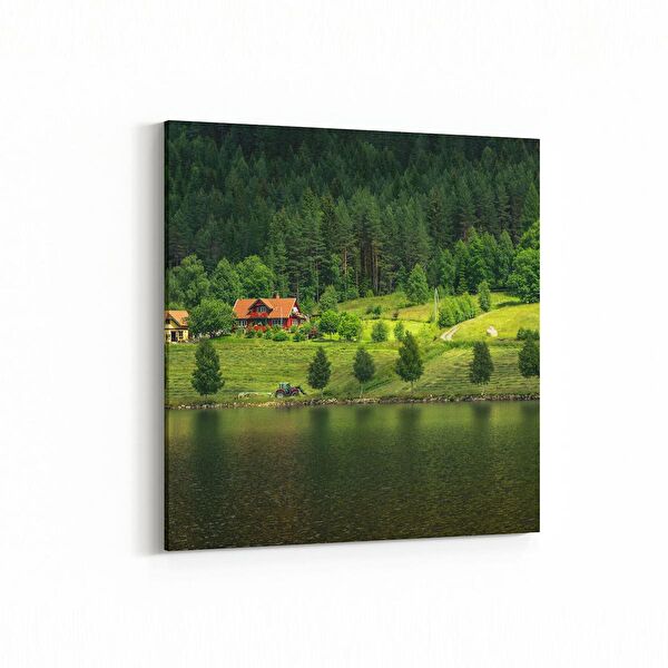 olla.market Kanvas Tablo