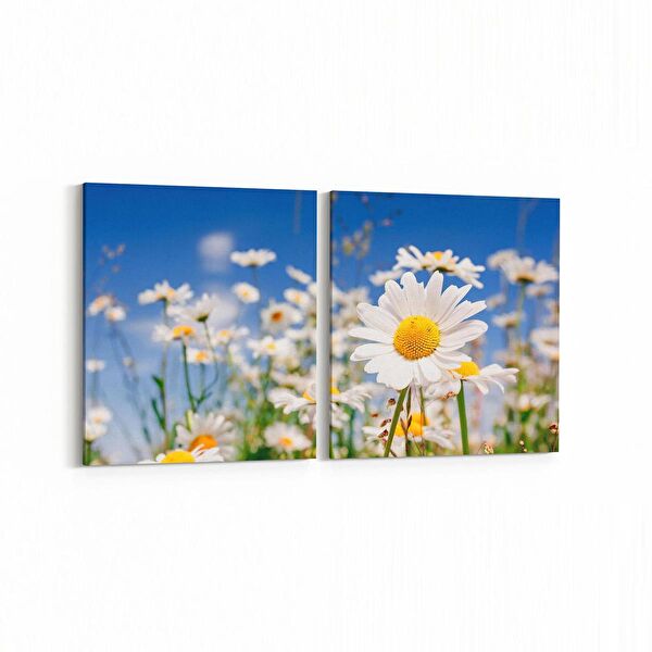 olla.market Kanvas Tablo