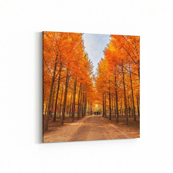 olla.market Kanvas Tablo