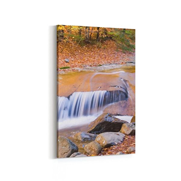 olla.market Kanvas Tablo