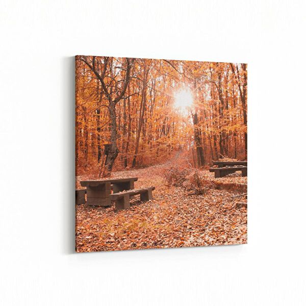 olla.market Kanvas Tablo