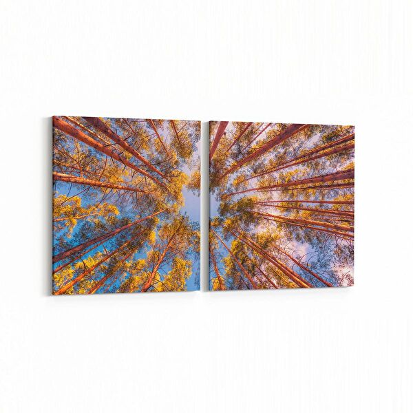 olla.market Kanvas Tablo