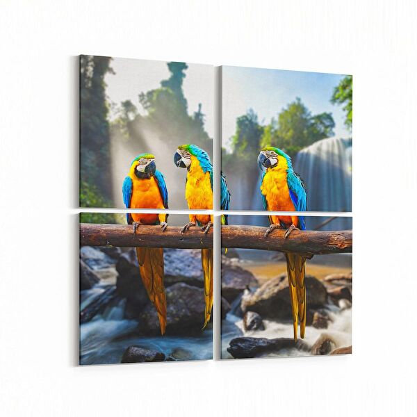 olla.market Kanvas Tablo