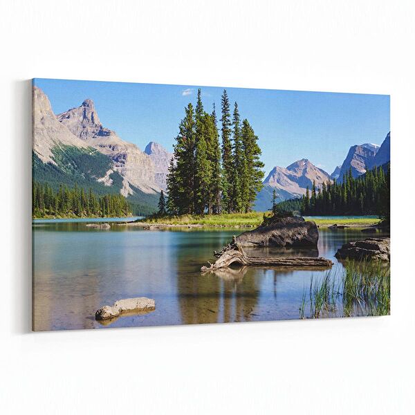 olla.market Kanvas Tablo