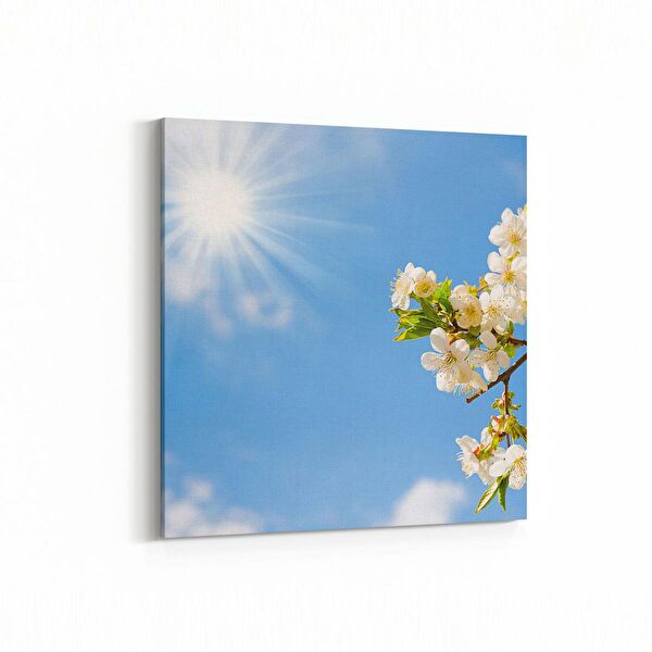 olla.market Kanvas Tablo