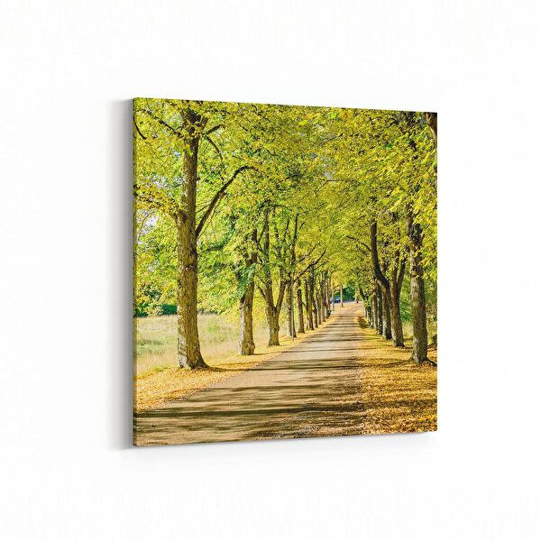 olla.market Kanvas Tablo