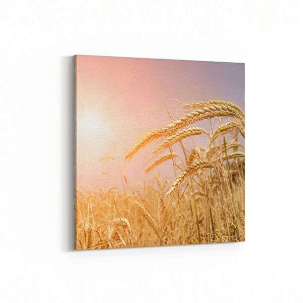 olla.market Kanvas Tablo