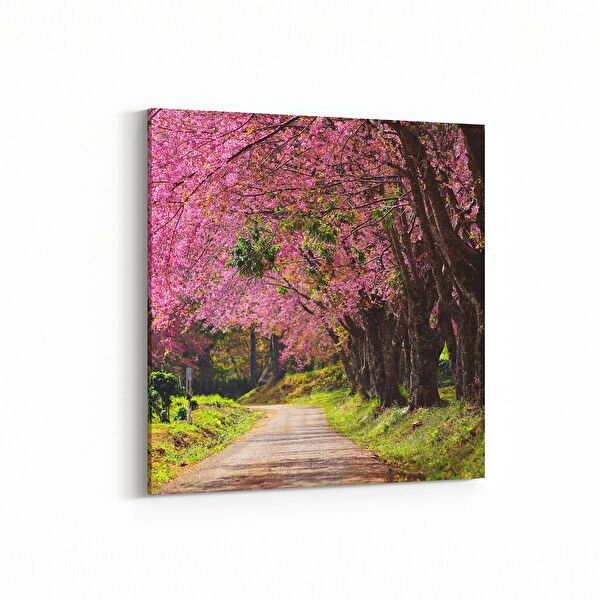 olla.market Kanvas Tablo