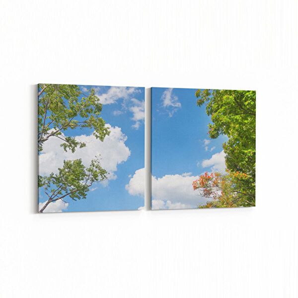 olla.market Kanvas Tablo