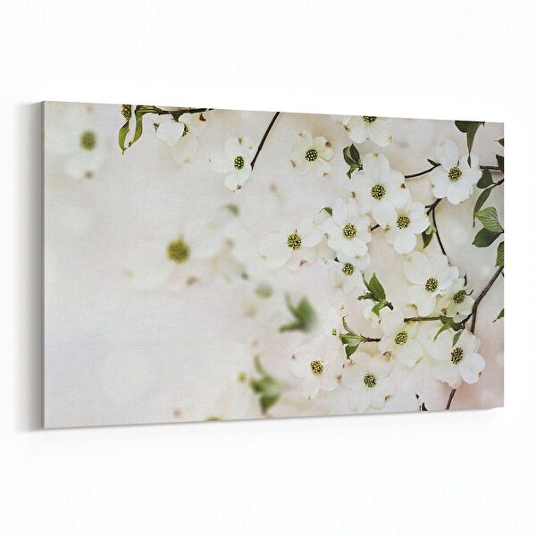 olla.market Kanvas Tablo