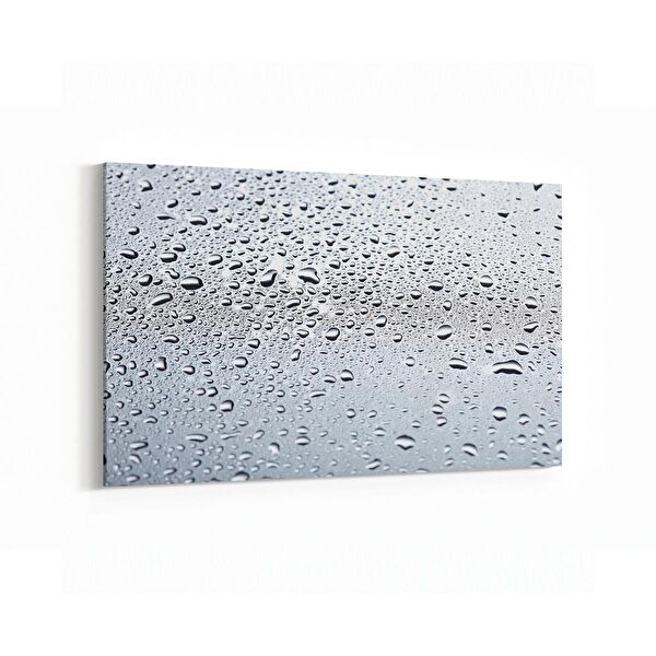 olla.market Kanvas Tablo