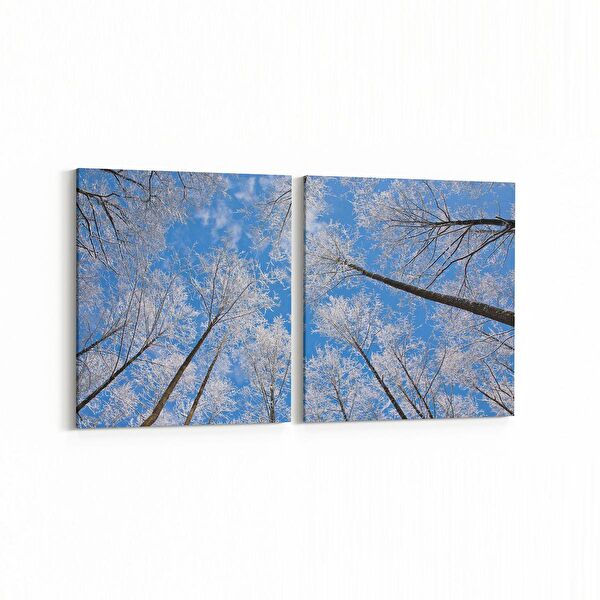 olla.market Kanvas Tablo