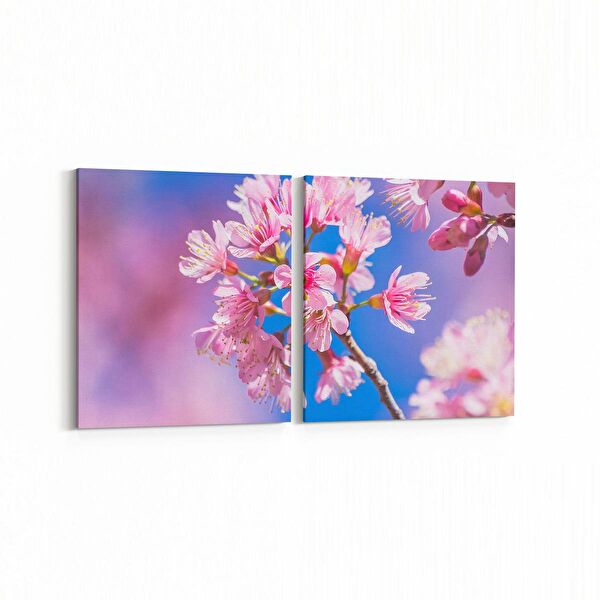 olla.market Kanvas Tablo