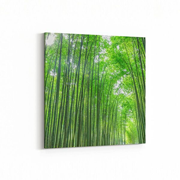 olla.market Kanvas Tablo