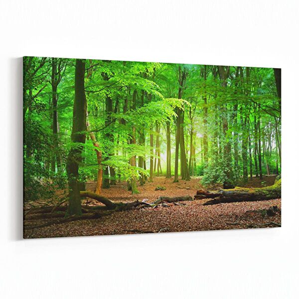 olla.market Kanvas Tablo