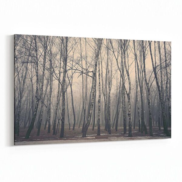 olla.market Kanvas Tablo