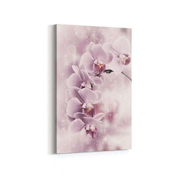 olla.market Kanvas Tablo