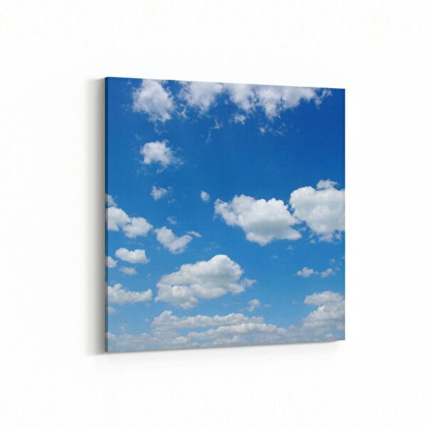 olla.market Kanvas Tablo