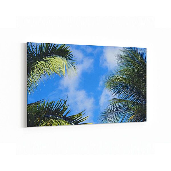 olla.market Kanvas Tablo