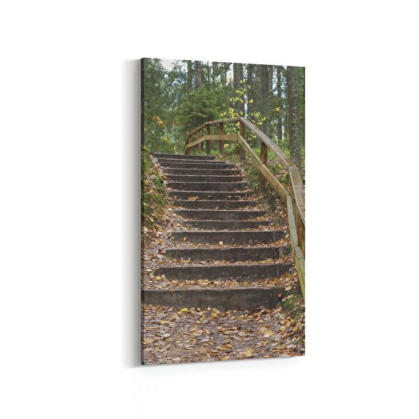 olla.market Kanvas Tablo