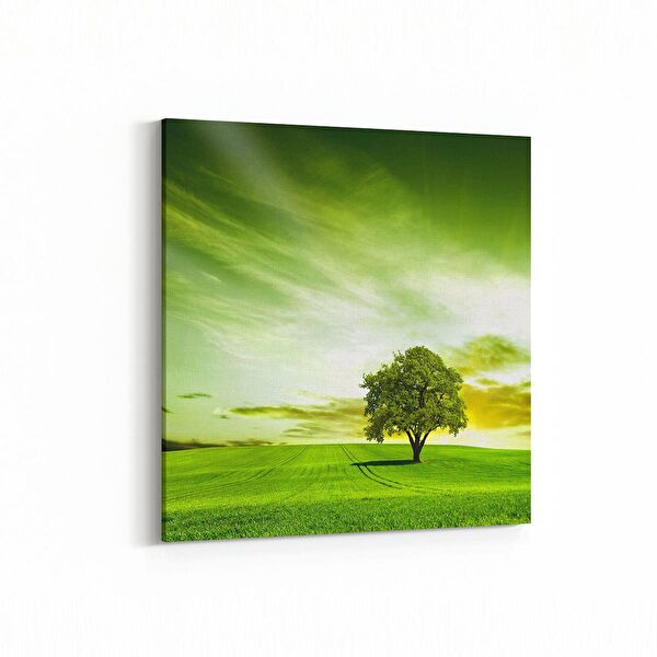 olla.market Kanvas Tablo