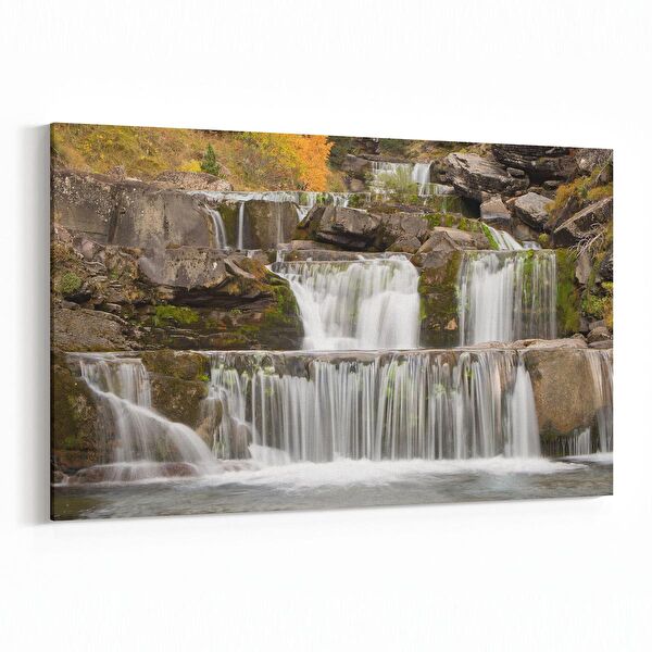 olla.market Kanvas Tablo