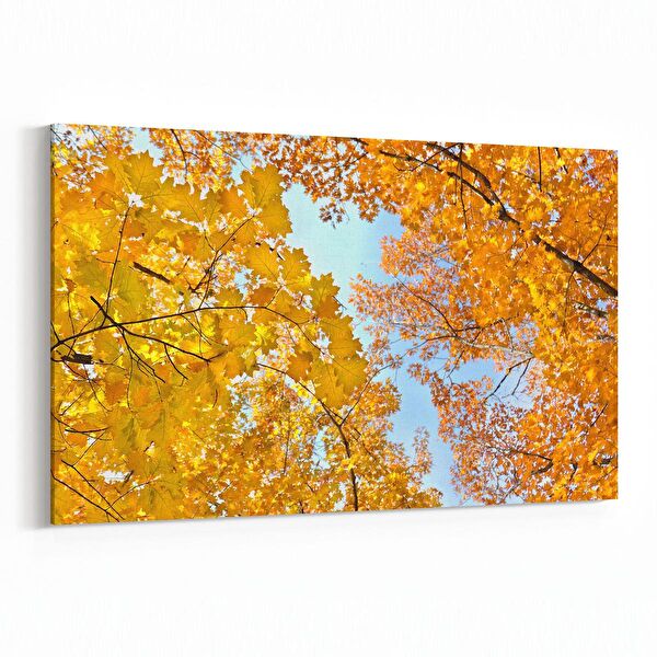 olla.market Kanvas Tablo