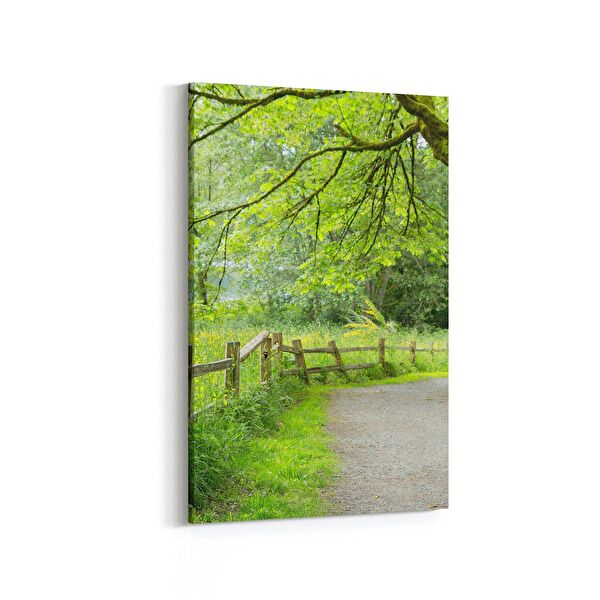 olla.market Kanvas Tablo