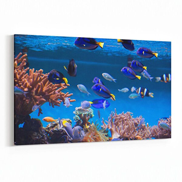 olla.market Kanvas Tablo