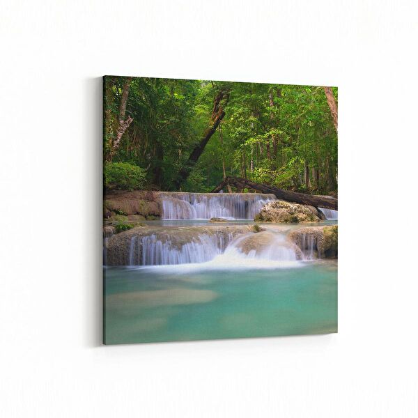 olla.market Kanvas Tablo