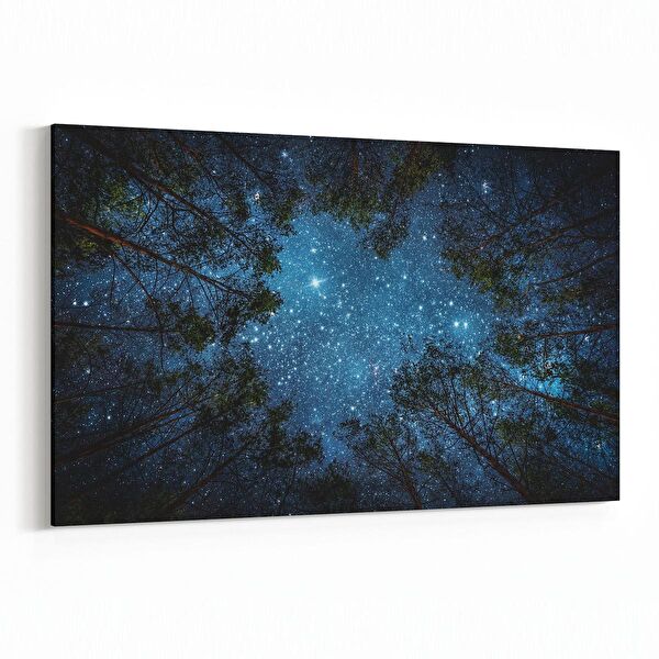 olla.market Kanvas Tablo