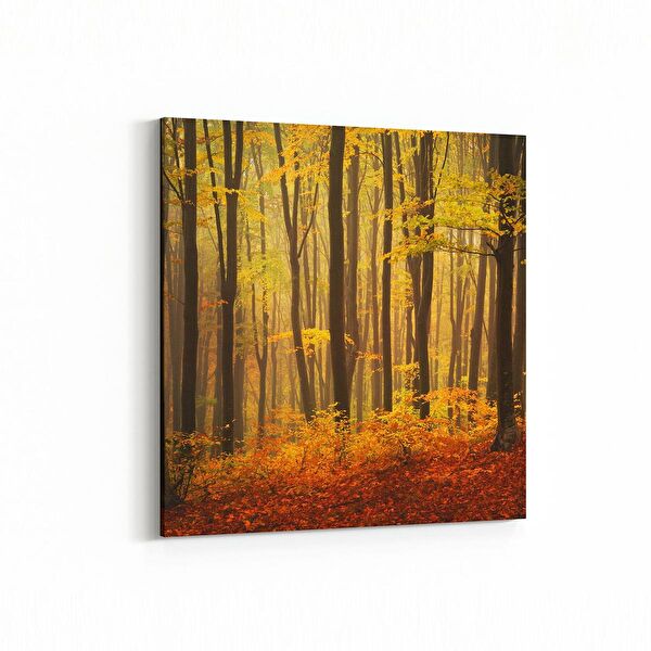 olla.market Kanvas Tablo