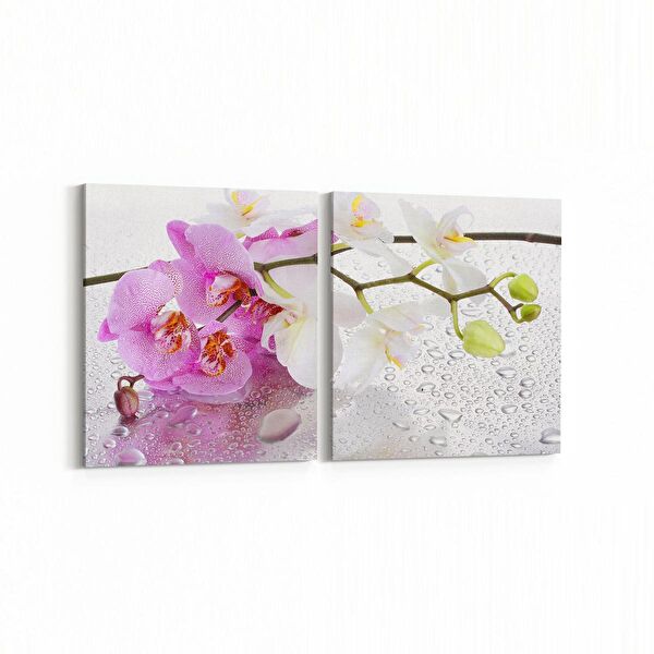 olla.market Kanvas Tablo