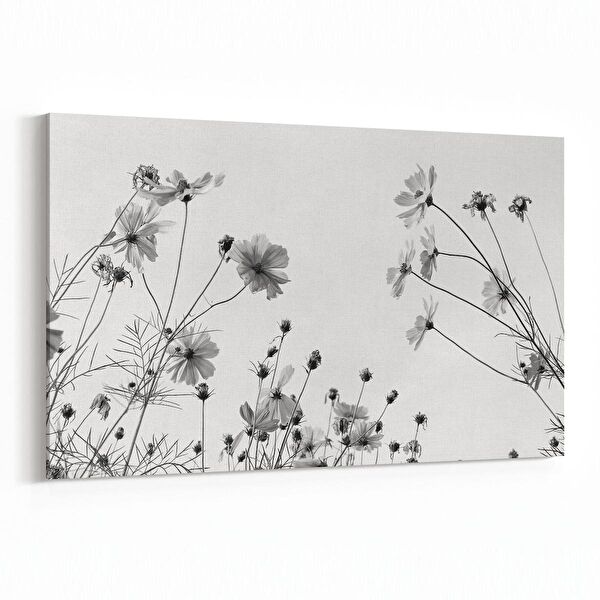 olla.market Kanvas Tablo