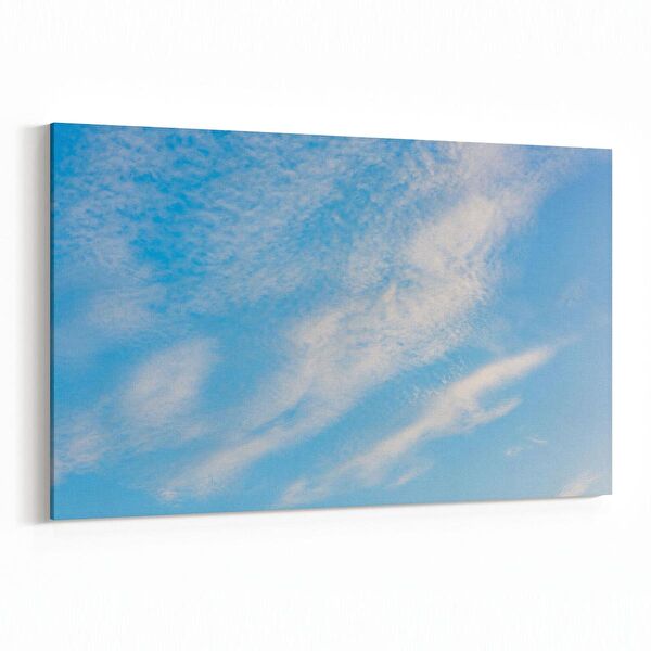 olla.market Kanvas Tablo