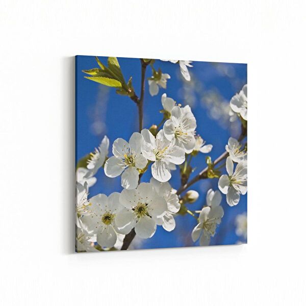 olla.market Kanvas Tablo