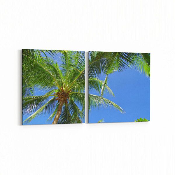 olla.market Kanvas Tablo