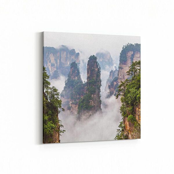 olla.market Kanvas Tablo