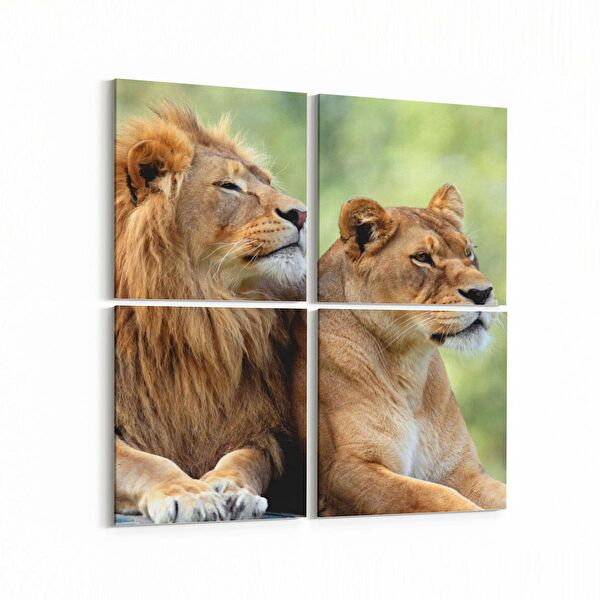 olla.market Kanvas Tablo