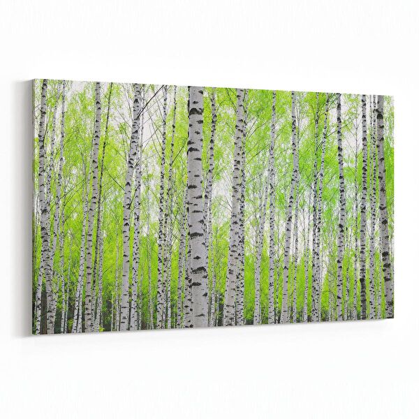 olla.market Kanvas Tablo